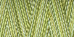 Fall Vines-Thread Star Variegtd