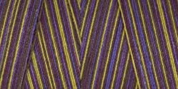 Ivy League-Thread Star Variegtd